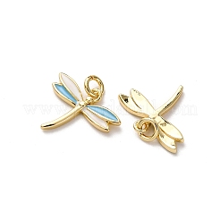 Pendentifs d'émail en laiton &nbsp;FIND-I055-01G-01