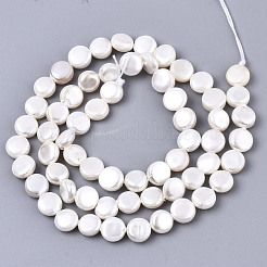 Eau douce naturelle de coquillage perles brins&nbsp;X-SHEL-N026-50B-01