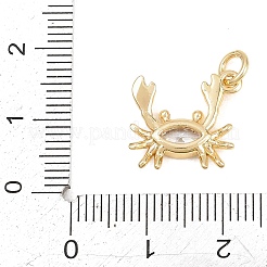 Ciondoli in ottone zirconi chiari micro pavé&nbsp;KK-D258-06G-02