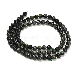 Fili naturali di perle di diaspro di kambaba&nbsp;GG-CBA3921-A04-4mm