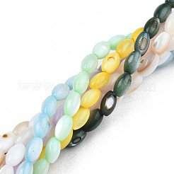 Naturali di acqua dolce perline shell fili&nbsp;SHEL-N003-25