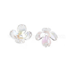 Transparentem Acrylperlenkappen&nbsp;X-TACR-Q273-03