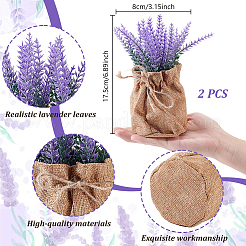 2 pièce de décoration de micro-paysage en plastique lavande&nbsp;AJEW-GA0008-95