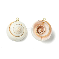 Pendentifs coquillages naturels shiva&nbsp;KK-C143-55G
