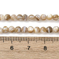 Natürlichen Süßwasser-Muschelperlen Stränge&nbsp;SHEL-K006-71C