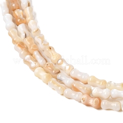 Hebras naturales de cuentas de concha de agua dulce&nbsp;SHEL-A006-04B