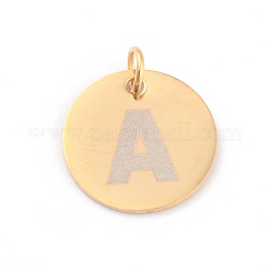 Breloques en acier inoxydable 304 plaquées par ions (IP)&nbsp;STAS-H159-01G