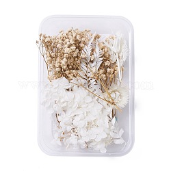 Fleurs séchées, accessoires de fabrication de savon bougie bricolage, avec boîte rectangulaire en plastique, gros bois et blanc, 2.2~14x2.4~10.2 cm