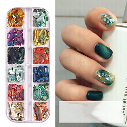 Fette di shell, accessori per la manicure, colore misto, 12colors / scatola