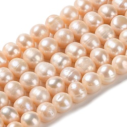Fili di perle di perle d'acqua dolce coltivate naturali, patata, grado 2a++, peachpuff, 8~10.5x8~9mm, Foro: 0.6 mm, circa 44pcs/filo, 15.04'' (38.2 cm)