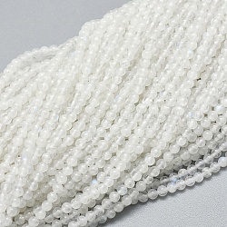 Brins de perles de pierre de lune arc-en-ciel naturel, ronde, 2mm, Trou: 0.5mm, Environ 195 pcs/chapelet, 15.35 pouce (39 cm)