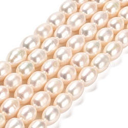 Fili di perle di perle d'acqua dolce coltivate naturali, riso, grado aaaaa, colore conchiglia, 9.5~10x8~9mm, Foro: 0.6 mm, circa 37~38pcs/filo, 14.76~15.16'' (37.5~38.5 cm)
