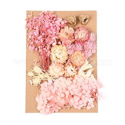 Fleur séchée, pour la douche nuptiale, mariage, fleur fraîche conservée, rose, 210x148x14~24.5mm