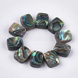 Conchiglia abalone / perle di conchiglia paua, rettangolo, colorato, 10x8x3.5~4mm, Foro: 1 mm