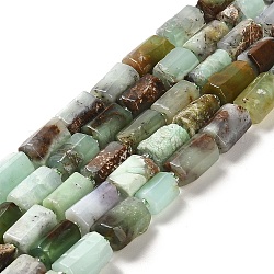 Fili di perline di crisoprasio naturale, con perline semi, colonna, sfaccettato, 8.5~11x5.5~6.5mm, Foro: 1 mm, circa 14~15pcs/filo, 7.48'' (19 cm)