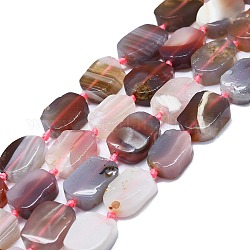 Chapelets de perles en agate naturelle du Botswana, rectangle, 15~17x10~13x5~7mm, Trou: 1mm, Environ 22 pcs/chapelet, 15.94'' (40.5 cm)