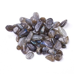 Perles naturelles de labradorite, non percé / pas de trou, puces, 8~21x7~10x4~6 mm 4~6 mm, environ 100 g /sachet 