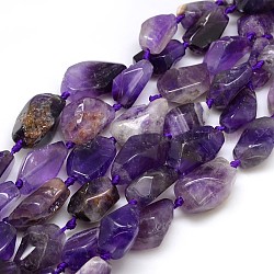 Natural Gemstone Amethyst Beads Strands, Nuggets, Purple, 20~45x10~25mm, Hole: 2mm, about 10~12pcs/strand, 15.74inch