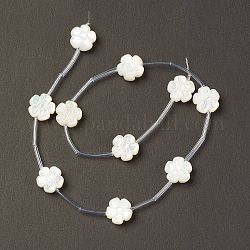 Natürliche weiße Muschel Perlmutt Muschel Perlen, Blume, creme-weiß, 11x11.5x6 mm, Bohrung: 0.9 mm, ca. 10 Stk. / Strang, 12.80'' (32.5 cm)