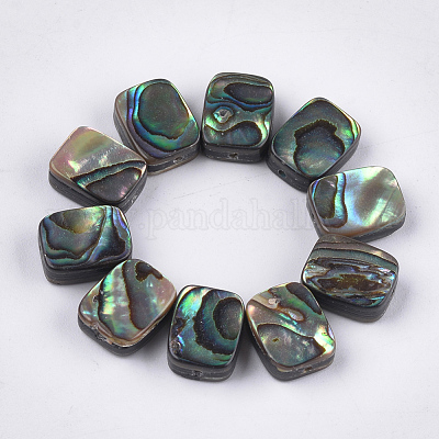 Abalone shell / paua shell beads&nbsp;X-SSHEL-T008-05-1