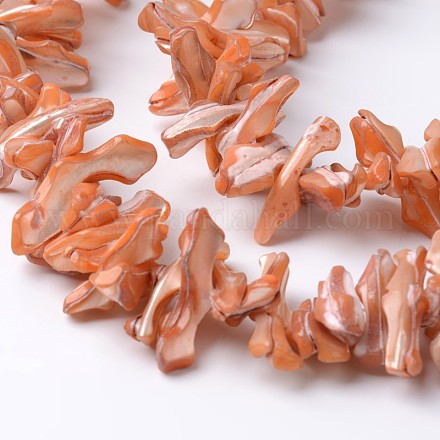 Chapelets de perles en coquillage naturel BSHE-O016-18-1