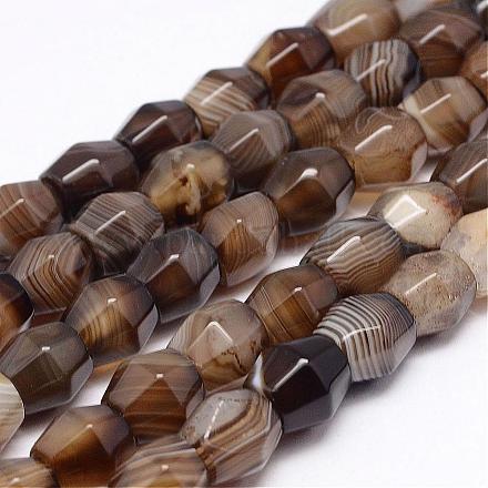 Natural Striped Agate/Banded Agate Beads Strands G-P192-11A-1