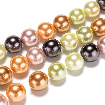 Shell Pearl Beads Strands BSHE-P005-10mm-33-1