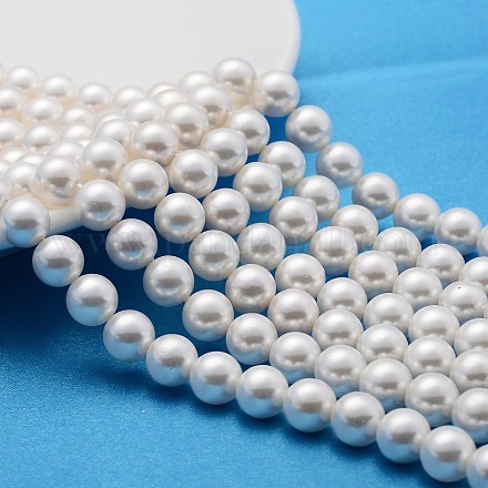 Shell Pearl Beads Strands X-SP8MM221-1