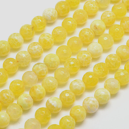 Dyed Natural Agate Faceted Round Beads Strands G-E267-17-1