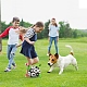 (vente de clôture défectueuse pour le visage teint)ballon de football pour chien avec languettes de préhension AJEW-XCP0001-97-11