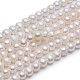 Natural Cultured Freshwater Pearl Beads Strands A23WZ011-2