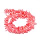 Natural Coral Chip Beads Strands CORA-L036-10-2
