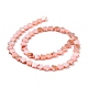 Eau douce naturelle de coquillage perles brins SHEL-H002-03D-3