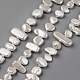 Spray Painted Natural Freshwater Shell Beads Strands SHEL-S276-89D-1