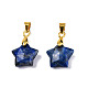 Breloques naturels lapis-lazuli X-G-N326-142-02-2