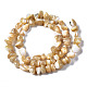 Natural Trochid Shell/Trochus Shell Beads Strands SSHEL-N034-78-B01-2