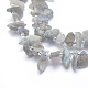 Natural Labradorite Beads Strands G-G764-09-3