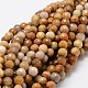 Faceted Round Natural Fossil Coral Bead Strands G-L437-03-6mm-1
