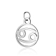 304 Stainless Steel Charms STAS-T036-T513-A4-1