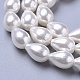 Polished Shell Pearl Beads Strands BSHE-L042-A05-2