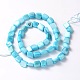 Natural Shell Beads Strands X-PBB075Y-2