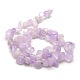 Natural Amethyst Crackle Agate Chips Beads Strands G-P032-07-3