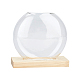 ガラスの花瓶  天然木ベース  オーバル  バリーウッド  60x130x125mm DJEW-WH0007-59A-1
