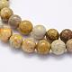 Natural Fossil Coral Beads Strands G-G697-F01-8mm-3