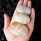 Натуральные пальмовые камни из лунного камня PW-WG66181-01-3