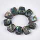 Abalone shell / paua shell beads X-SSHEL-T008-05-1