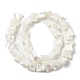 Chapelets de perles de coquille de trochid / trochus coquille SSHEL-R145-02-4