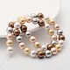 Chapelets de perles colorées en coquillage BSHE-F013-14M-10mm-2