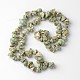 Chapelets de perles en coquillage naturel BSHE-O016-20-2