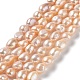 Natural Cultured Freshwater Pearl Beads Strands PEAR-Z002-32-1